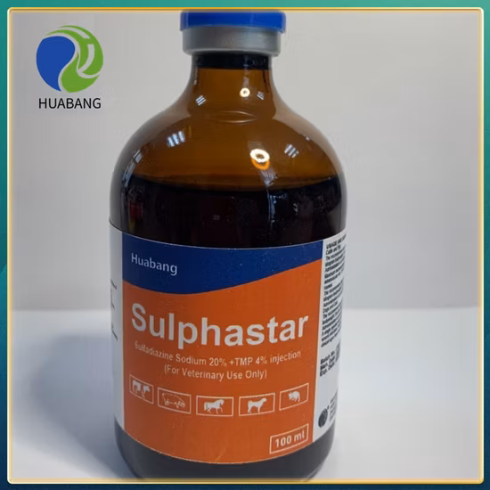 Medizin und Gesundheit/Andere Medizin/Medizinprodukte/Arzneimittel/Arzneimittel/Infusion/Intravenöse 100 ml: 0,9 g Natriumchlorid-Injektion